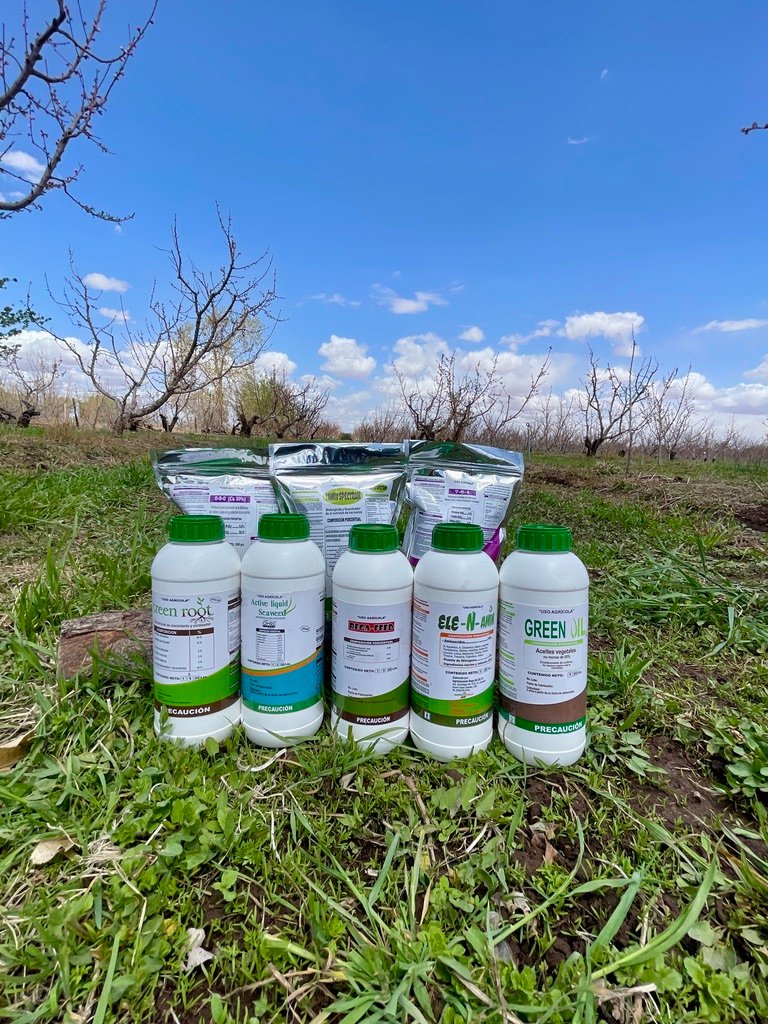 Línea completa de bioestimulantes agrícolas de Agro Rega aplicada en parcela mexicana