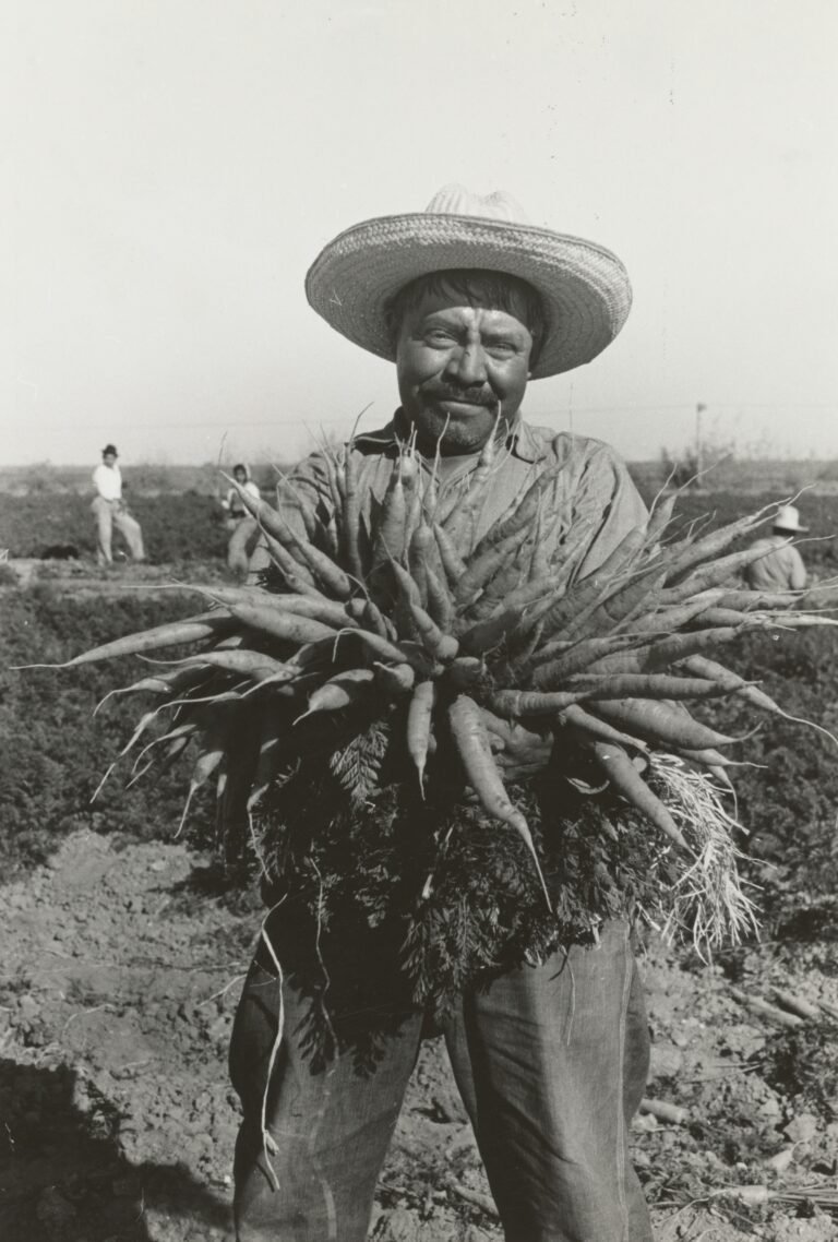 Productor mexicano antiguo trabajando el campo en honor al Día de la Agricultura Nacional en México