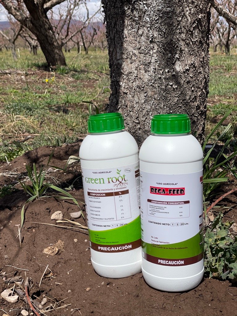foto de Rega Feed y Green Root en su presentación de un litro en el suelo agricola que aplicaron