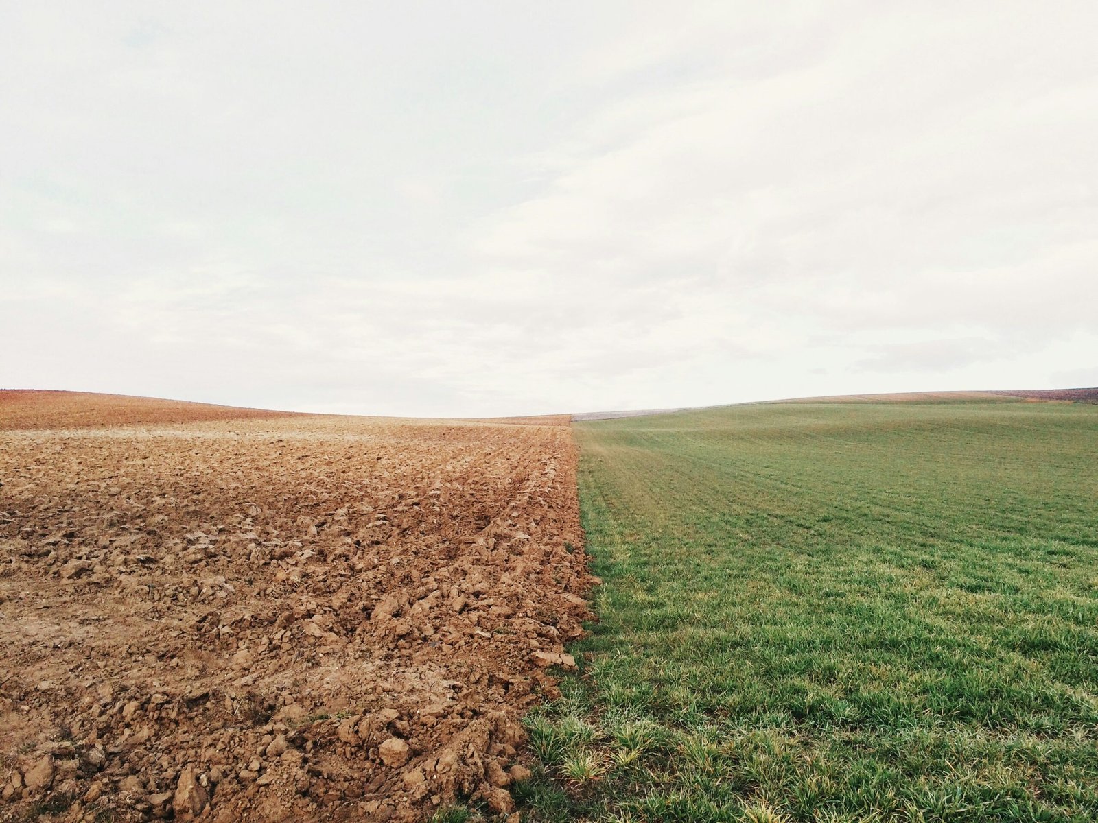 foto del contraste de un suelo con agricultura regenerativa