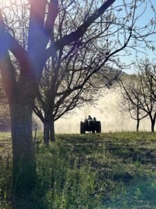 Aplicación de nutrición foliar eficiente para nogales de bioestimulantes